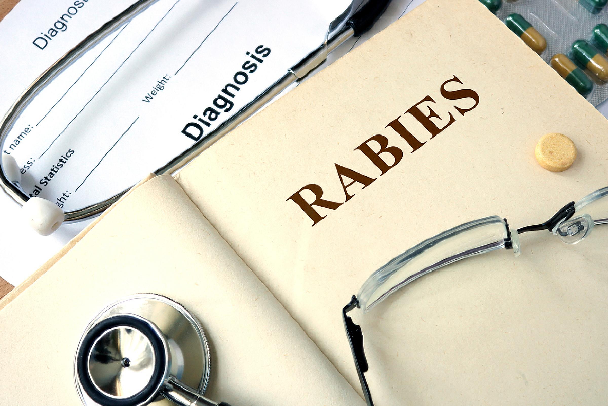 "Rabies" on medical diagnosis documentation