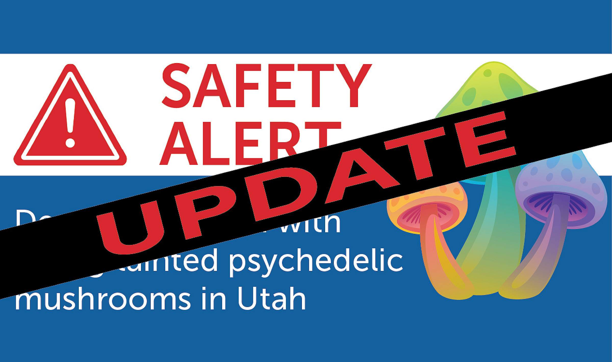 psychedelic mushrooms update
