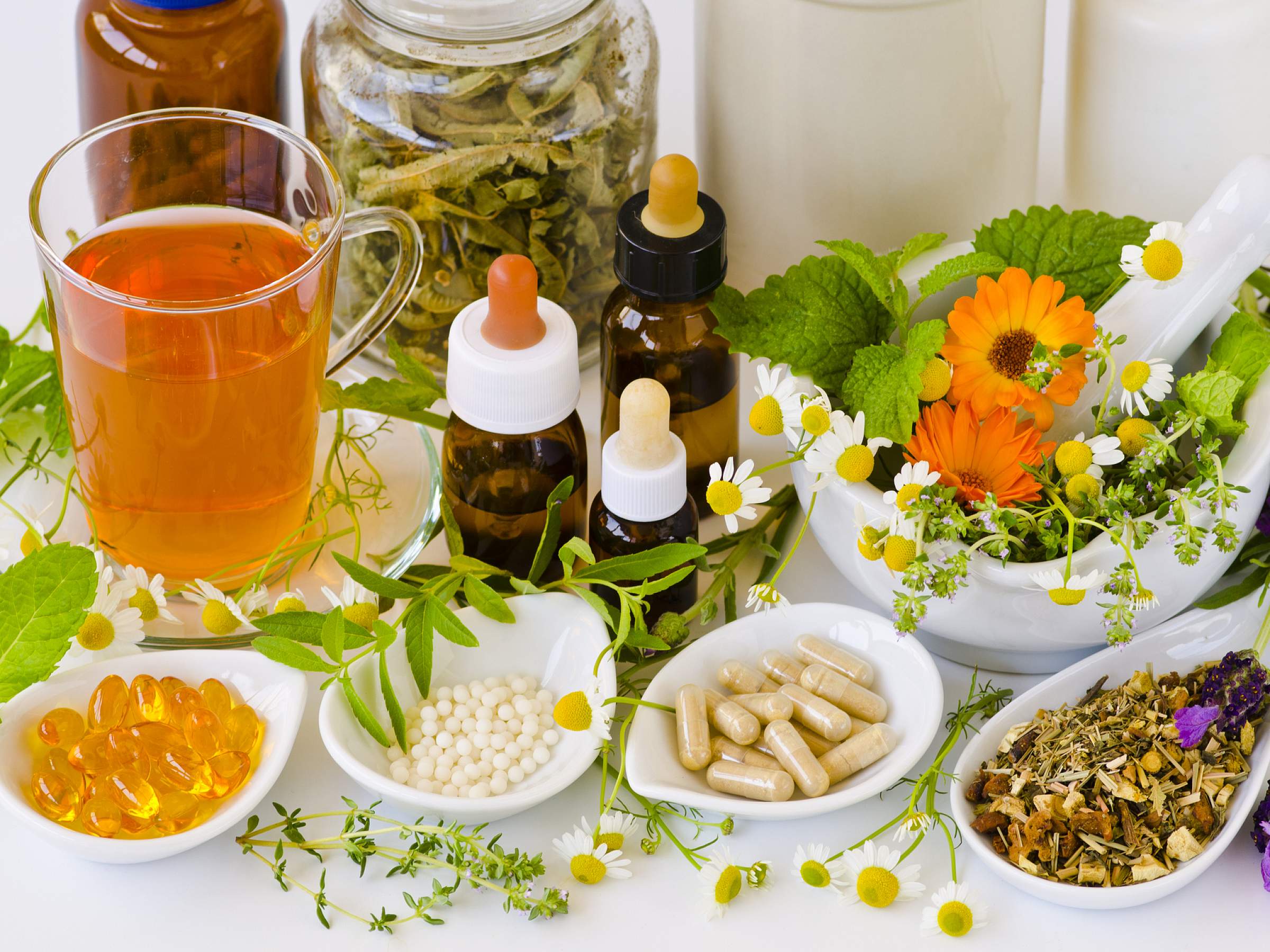 Alternative Medicine. Herbal Therapy.