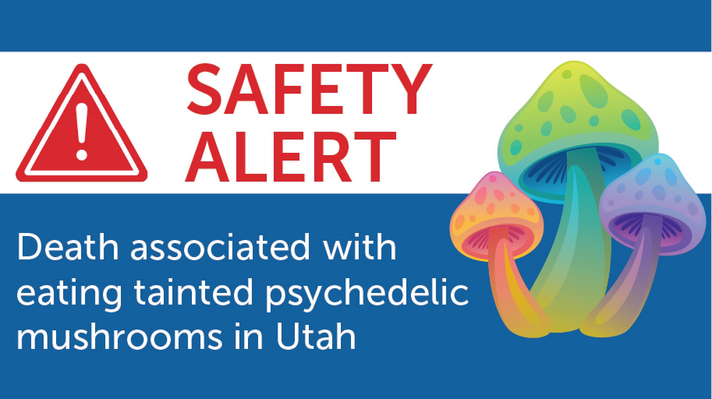 Safety Alert: Psychedelic Mushrooms Death